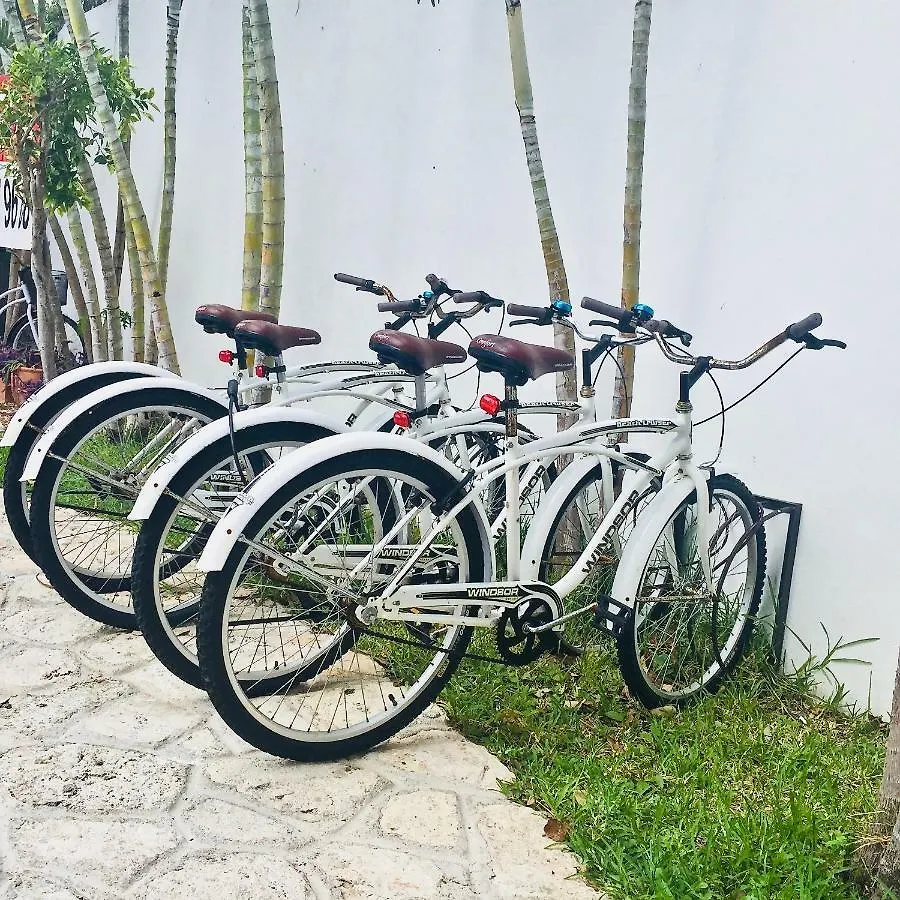 Gorgeous 11 People Comfort Villa With Pool Playacar Phase 2 Playa del Carmen