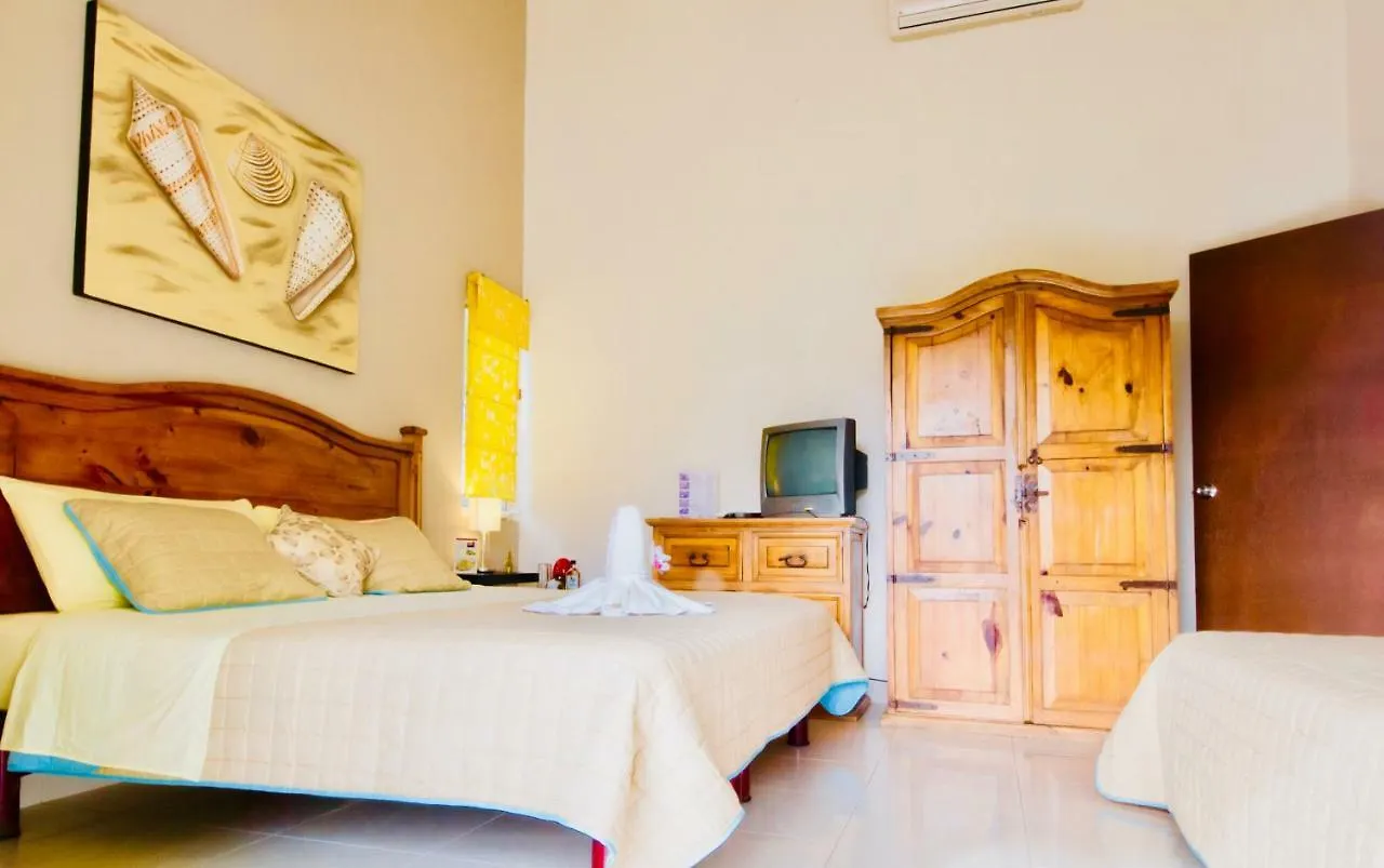 Gorgeous 11 People Comfort Villa With Pool Playacar Phase 2 Плая-дель-Кармен